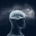 This Is the Real Reason You're Right- or Left-Brained—and It Has Nothing to Do with Creativity