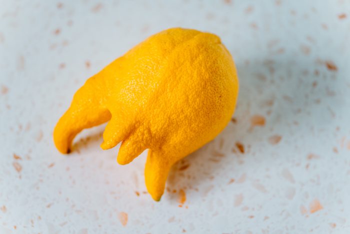 Ugly lemon with rare shape on a terrazzo marble